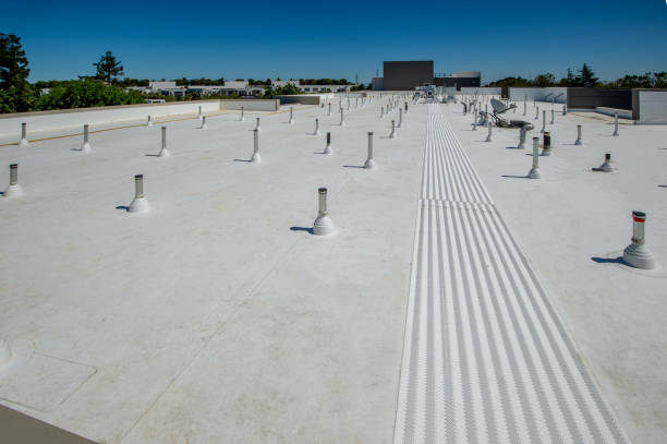 Best Roof Maintenance and Cleaning  in Rpinteria, CA
